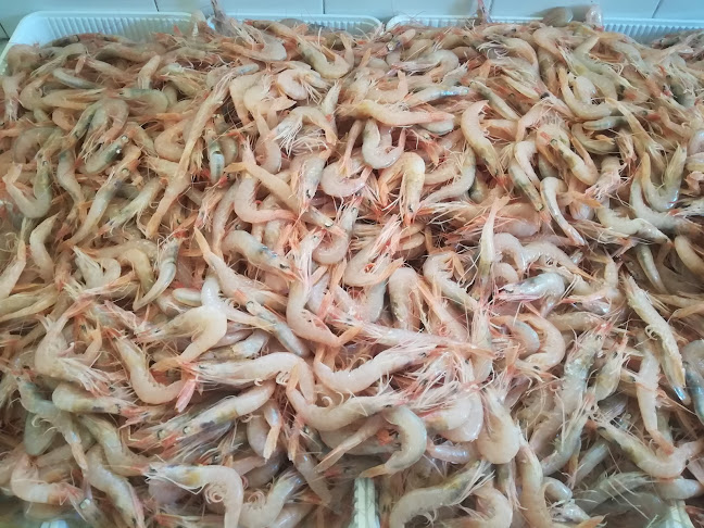 Paradise Ristorante Pizzeria - Seccagrande