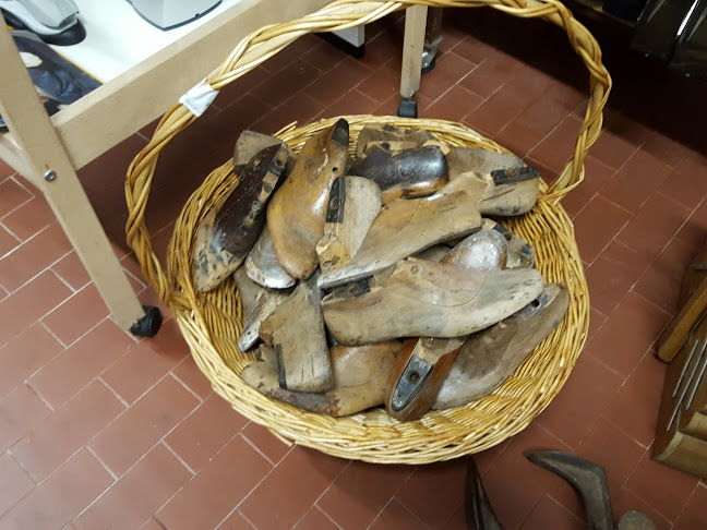 Mercatino di Cardano Al Campo - Cardano Al Campo