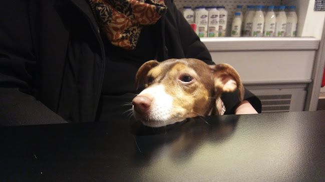 Panificio Moderno "Briciole Food&Drink" Viale Trento, Rovereto - Ristorazione