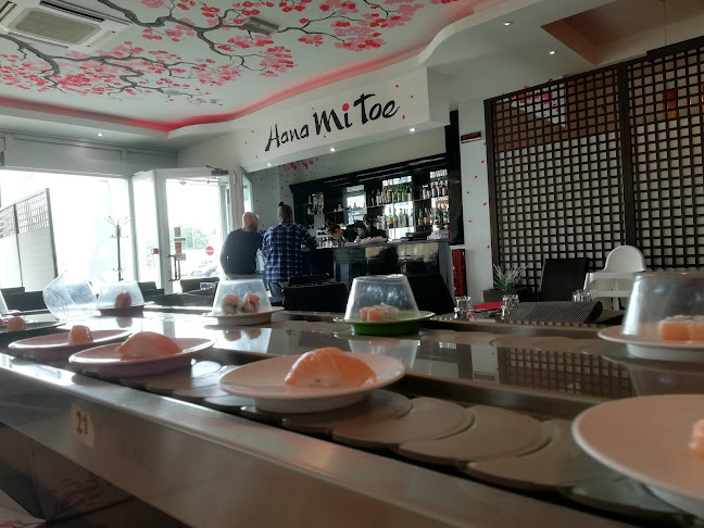 Opinii despre Hanami Asian Fusion în Ferrara - Ristorazione