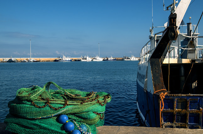 Contrada S. Pietro, 61, 63061 Massignano AP