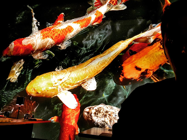 Via Valdagno, 41, 33100 Udine UD