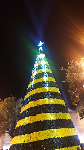 Via Vincenzo Bellini, 17, 74015 Martina Franca TA