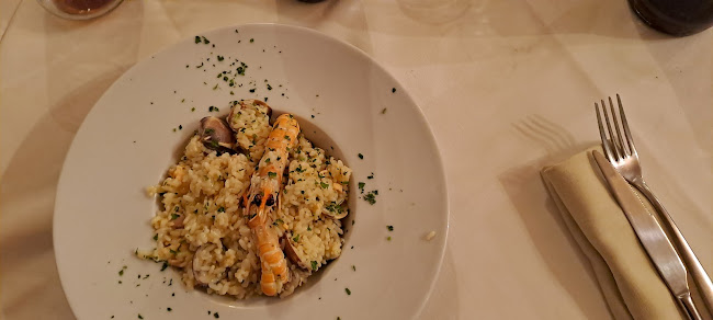 Comentarii opinii despre Fontana Fanelli