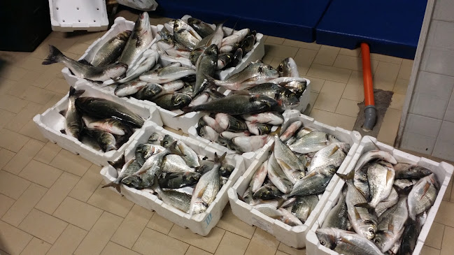 Reviews of Pescheria Da Regina in Cabras - Ristorazione