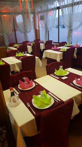 Opinii despre Ristorante Pechino di Zhou Lijiao în Salsomaggiore Terme - Ristorazione