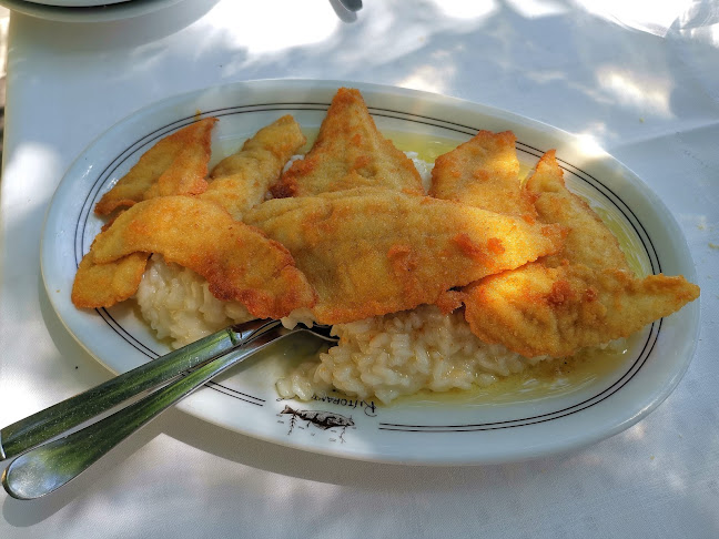 Opinii despre Ristorante Negri în Pusiano - Ristorazione