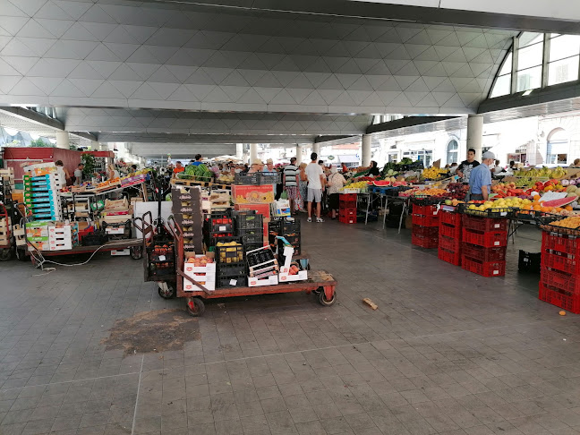 mercato-e-ittico.guzs.com
