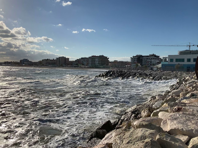 Pizzeria Braccino Sassonia