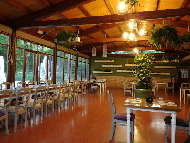 Comentarii opinii despre Lago Verde