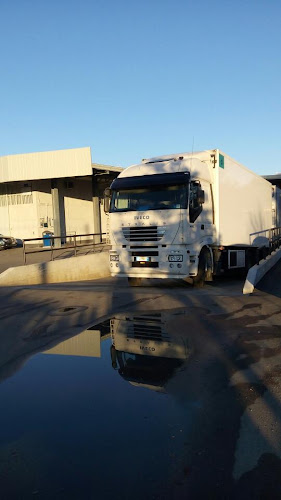 Antonio Forcina - Fondi