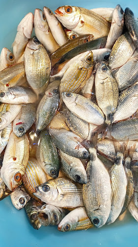 Opinii despre Pescheria Pizzi Pizzi di D'Anna Vincenzo în Napoli - Ristorazione