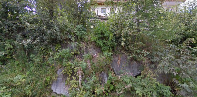 Albergo Alpino - Ristorante - Rifugio La Para