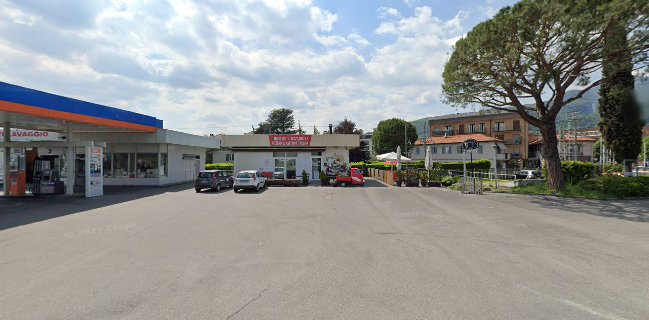 Pizzeria Basilico e Mozzarella