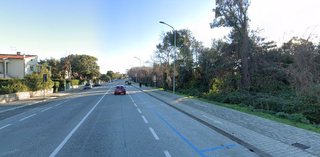 Ristorante Mistral Ratatouilleart