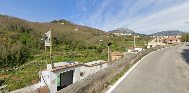 Ristorante Pizzeria al Limoneto