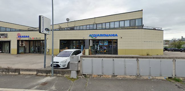 Ristorante Pizzeria dal Napoletano