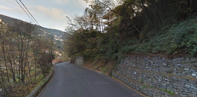 Angelo Pesce di Pennisi Roberta - Commercio Prodotti Ittici