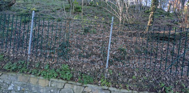 Ristorante Pizzeria Poggio Il Masseto