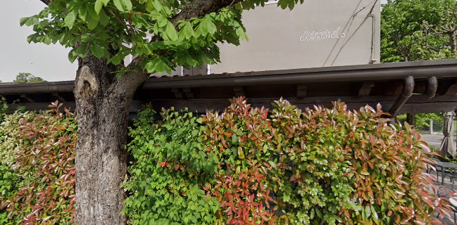 Ristorante Al Campagnolo