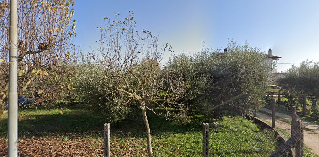 Forno a Legna Orvama