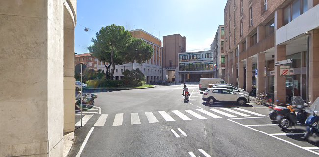 La Perscheria Di Ravaioli Pier Luigi E C. S.N.C.