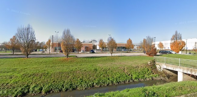 Tavolamica | Guastalla - Guastalla