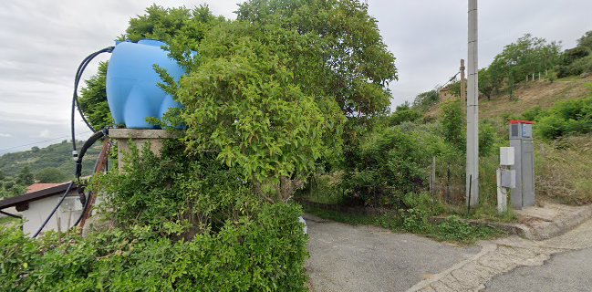 Opinii despre Home restaurant BELMONTE în San Nicola - Ristorazione