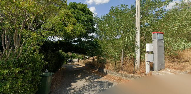 Home restaurant BELMONTE