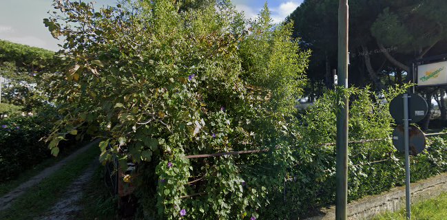 Opinii despre Mariposa - Pizzeria e B&B în Capaccio Paestum - Ristorazione