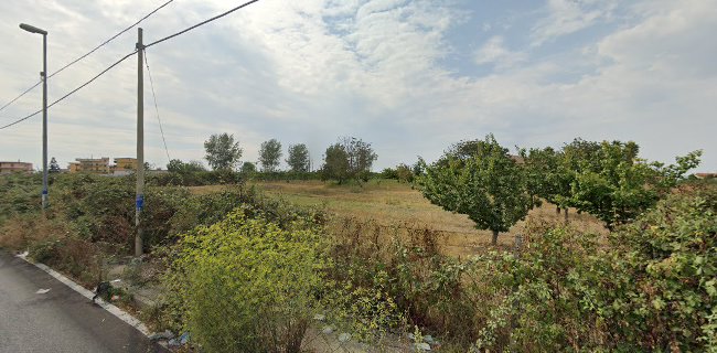 Petrucci Catering Sas Di Petrucci Gelsomina & C.