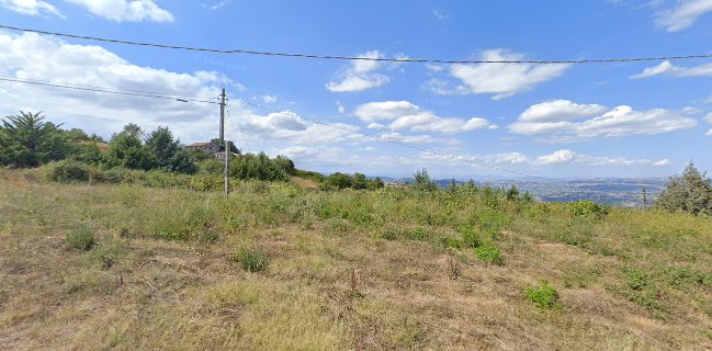 La Terrazza Disco Pub Pizzeria Srls