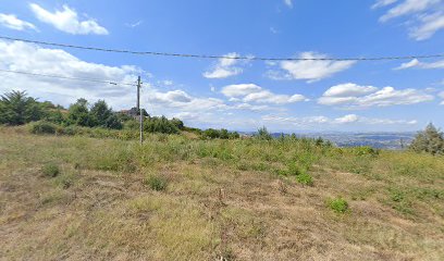 La Terrazza Disco Pub Pizzeria Srls
