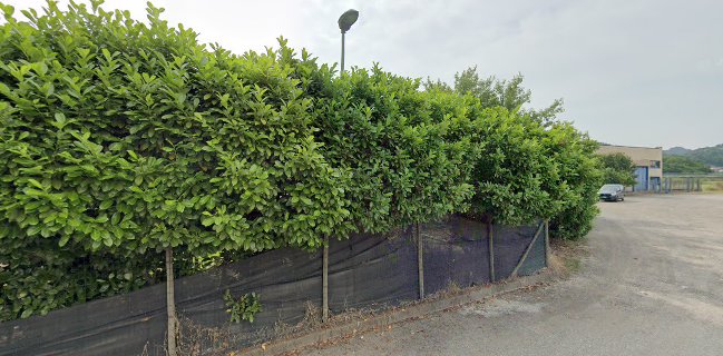 Ristorante Pizzeria La Cascina dell'Olmo