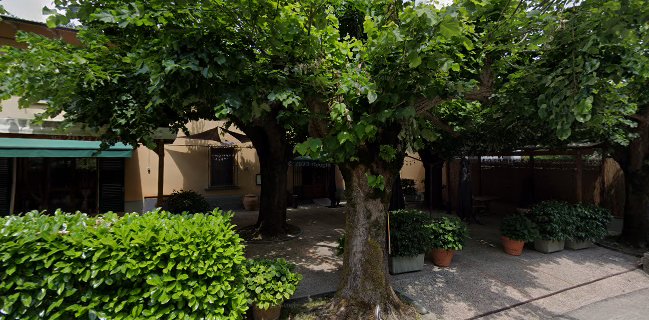 Ristorante Enoteca Il Frantoio