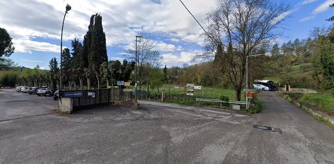 Opinii despre Eudania în Firenze - Ristorazione