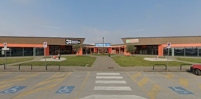 Dardy - Music and Food