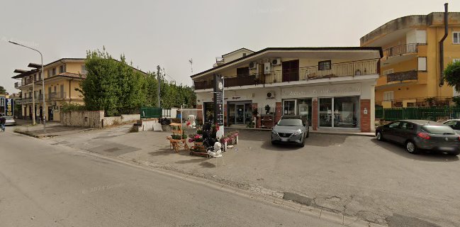 Le Delizie Del Sud S.R.L.