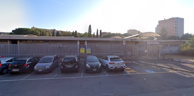 Pesce Frutti Di Mare Di Benvenga A.